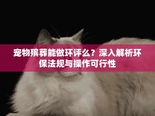 宠物殡葬能做环评么？深入解析环保法规与操作可行性