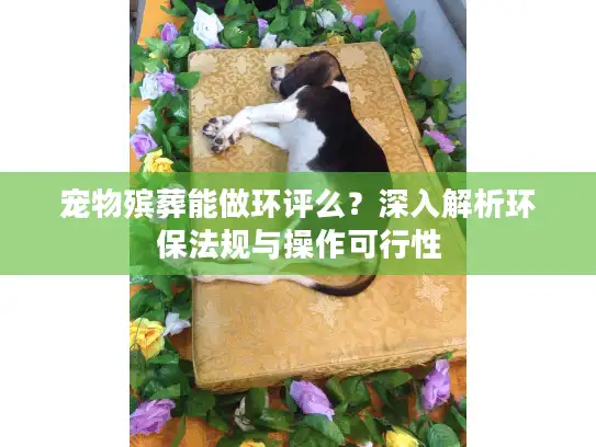 宠物殡葬能做环评么？深入解析环保法规与操作可行性