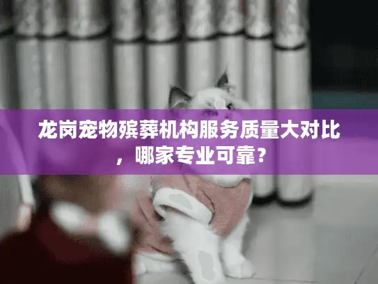 龙岗宠物殡葬机构服务质量大对比，哪家专业可靠？