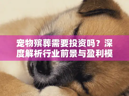 宠物殡葬需要投资吗？深度解析行业前景与盈利模式