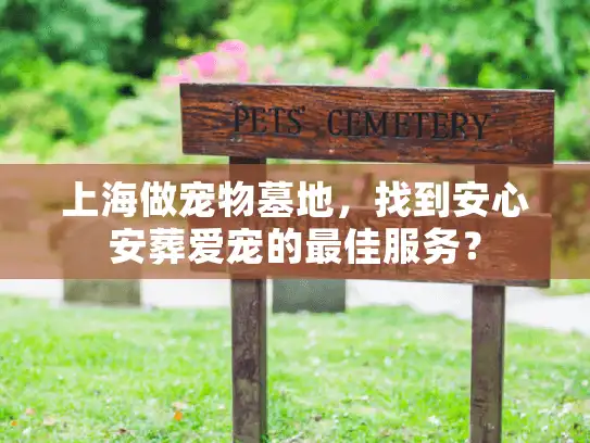 上海做宠物墓地，找到安心安葬爱宠的最佳服务？