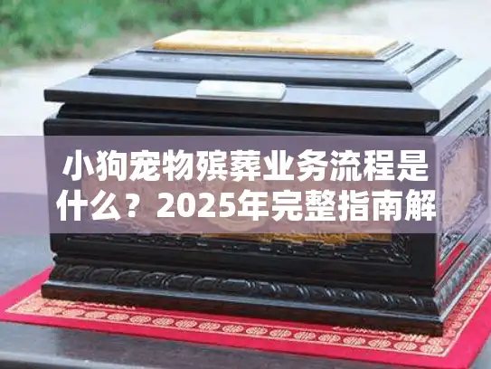 小狗宠物殡葬业务流程是什么？2025年完整指南解析