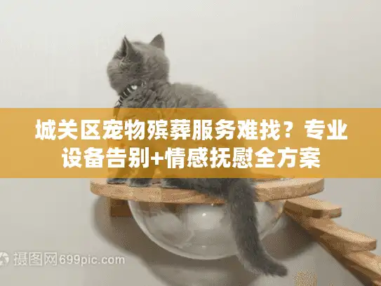 城关区宠物殡葬服务难找？专业设备告别+情感抚慰全方案