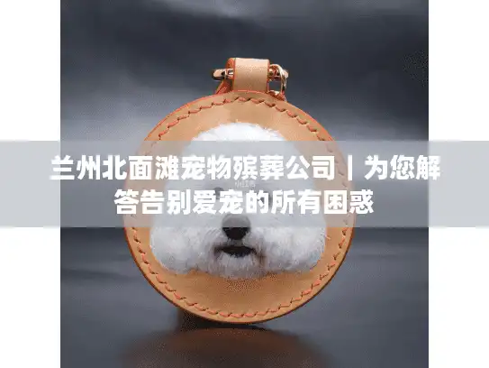 兰州北面滩宠物殡葬公司｜为您解答告别爱宠的所有困惑