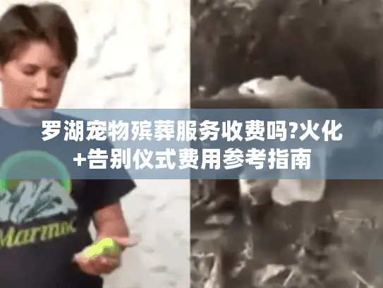 罗湖宠物殡葬服务收费吗?火化+告别仪式费用参考指南
