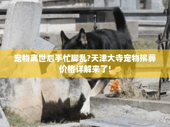 宠物离世后手忙脚乱?天津大寺宠物殡葬价格详解来了!