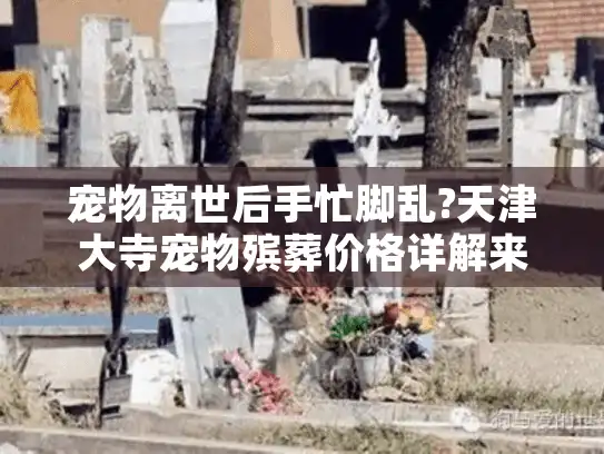 宠物离世后手忙脚乱?天津大寺宠物殡葬价格详解来了!