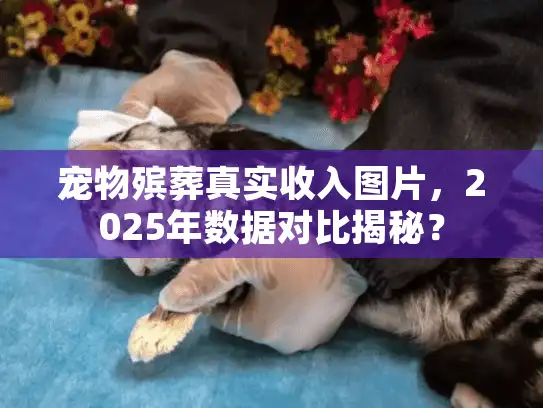 宠物殡葬真实收入图片，2025年数据对比揭秘？