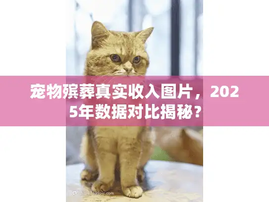 宠物殡葬真实收入图片，2025年数据对比揭秘？