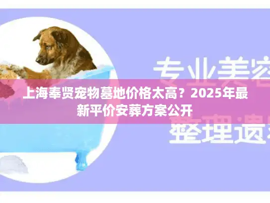 上海奉贤宠物墓地价格太高？2025年最新平价安葬方案公开