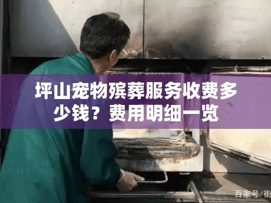 坪山宠物殡葬服务收费多少钱？费用明细一览