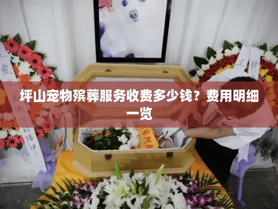 坪山宠物殡葬服务收费多少钱？费用明细一览