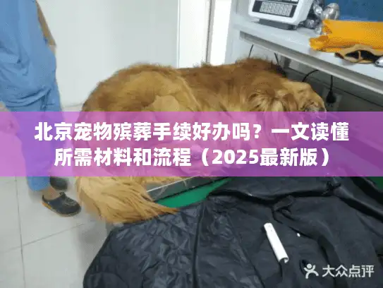 北京宠物殡葬手续好办吗？一文读懂所需材料和流程（2025最新版）