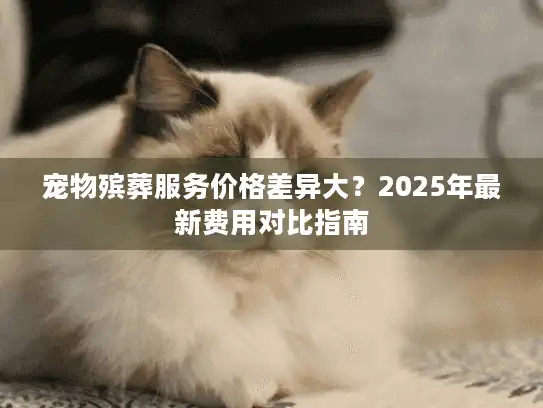 宠物殡葬服务价格差异大？2025年最新费用对比指南