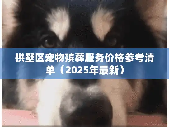 拱墅区宠物殡葬服务价格参考清单（2025年最新）