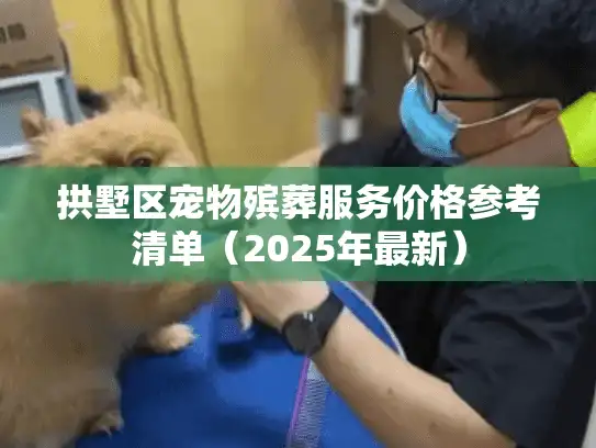 拱墅区宠物殡葬服务价格参考清单（2025年最新）