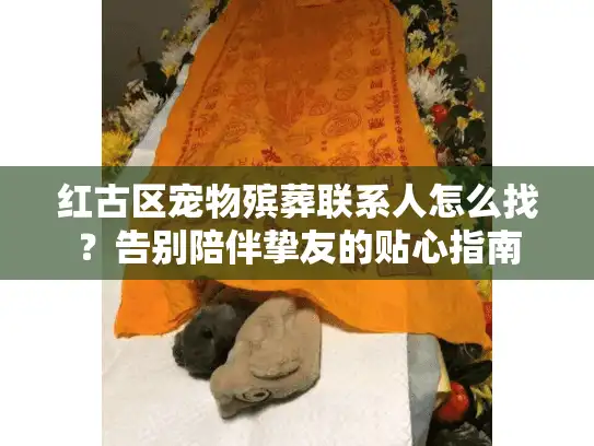 红古区宠物殡葬联系人怎么找？告别陪伴挚友的贴心指南
