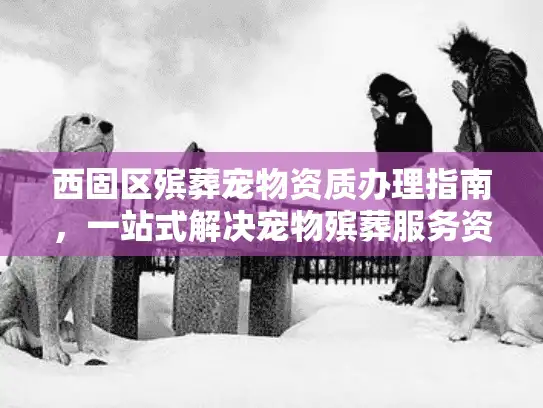 西固区殡葬宠物资质办理指南，一站式解决宠物殡葬服务资质需求