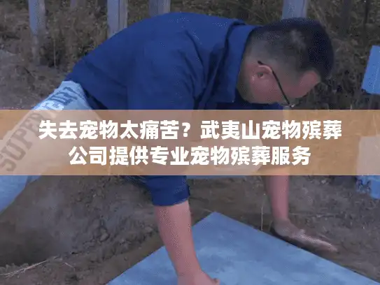 失去宠物太痛苦？武夷山宠物殡葬公司提供专业宠物殡葬服务