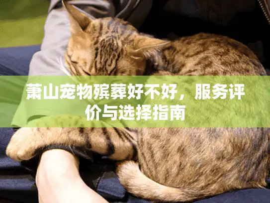 萧山宠物殡葬好不好，服务评价与选择指南