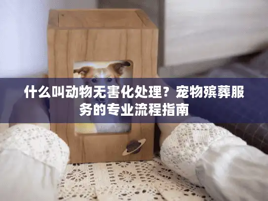 什么叫动物无害化处理？宠物殡葬服务的专业流程指南