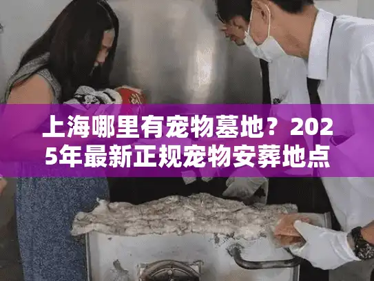上海哪里有宠物墓地？2025年最新正规宠物安葬地点推荐