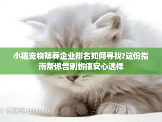 小猫宠物殡葬企业排名如何寻找?这份指南帮你告别伤痛安心选择