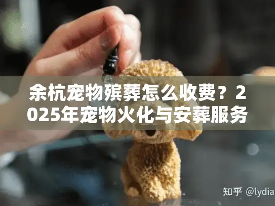 余杭宠物殡葬怎么收费？2025年宠物火化与安葬服务价格全解答