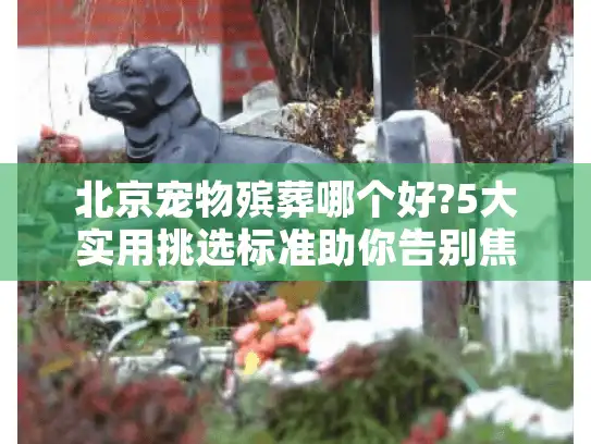北京宠物殡葬哪个好?5大实用挑选标准助你告别焦虑