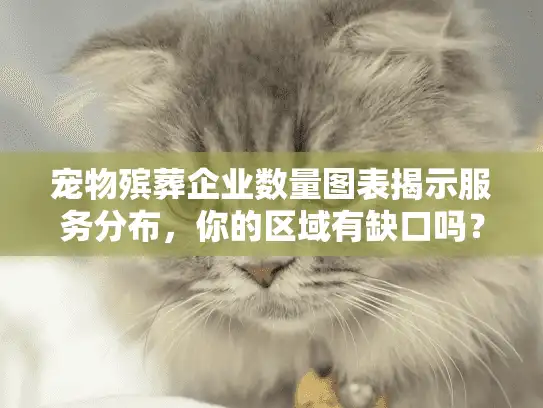 宠物殡葬企业数量图表揭示服务分布，你的区域有缺口吗？