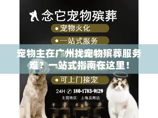宠物主在广州找宠物殡葬服务难？一站式指南在这里！