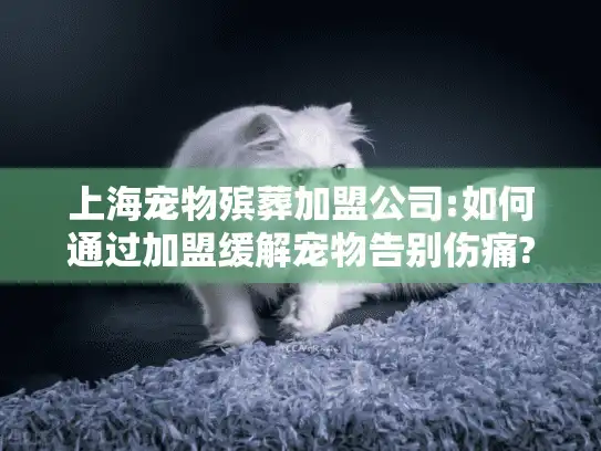 上海宠物殡葬加盟公司:如何通过加盟缓解宠物告别伤痛?