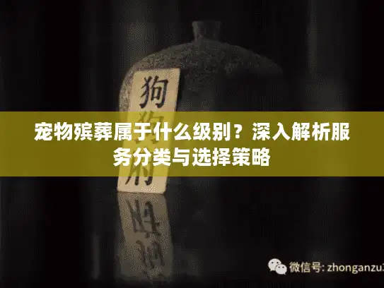 宠物殡葬属于什么级别？深入解析服务分类与选择策略