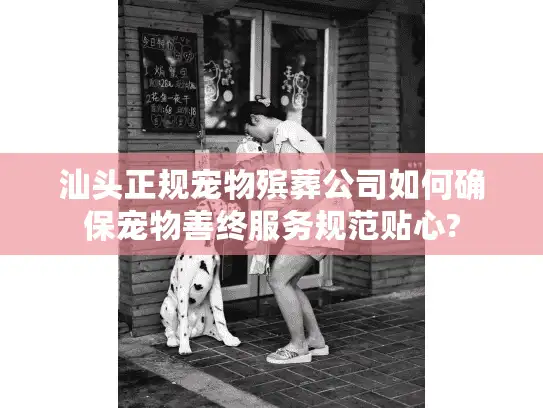 汕头正规宠物殡葬公司如何确保宠物善终服务规范贴心?