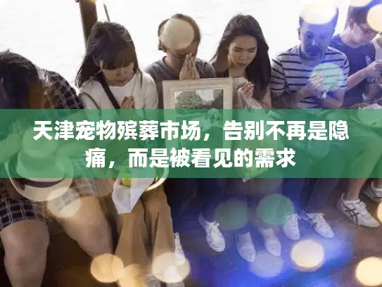 天津宠物殡葬市场，告别不再是隐痛，而是被看见的需求