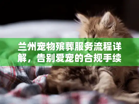 兰州宠物殡葬服务流程详解，告别爱宠的合规手续指南
