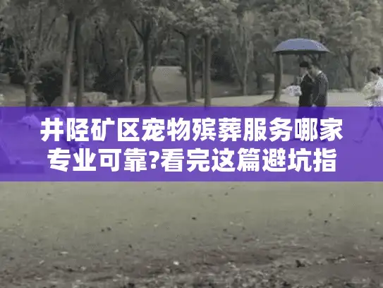井陉矿区宠物殡葬服务哪家专业可靠?看完这篇避坑指南