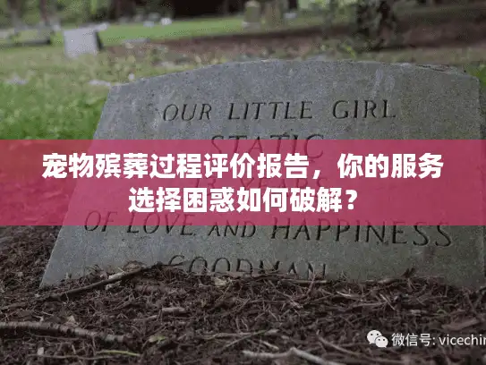 宠物殡葬过程评价报告，你的服务选择困惑如何破解？