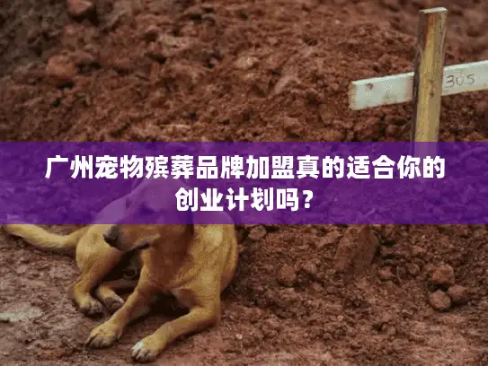 广州宠物殡葬品牌加盟真的适合你的创业计划吗？
