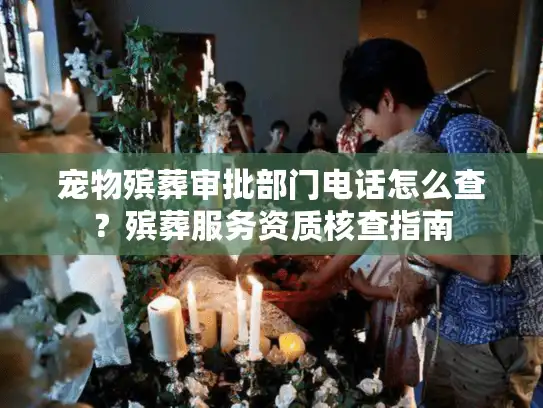 宠物殡葬审批部门电话怎么查？殡葬服务资质核查指南