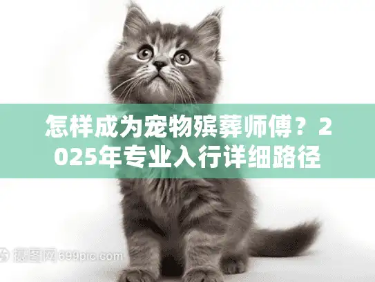 怎样成为宠物殡葬师傅？2025年专业入行详细路径
