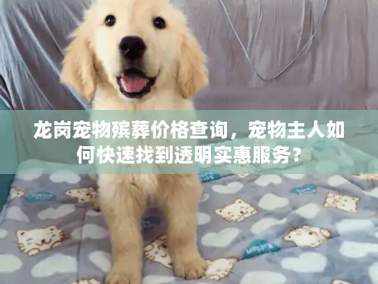 龙岗宠物殡葬价格查询，宠物主人如何快速找到透明实惠服务？