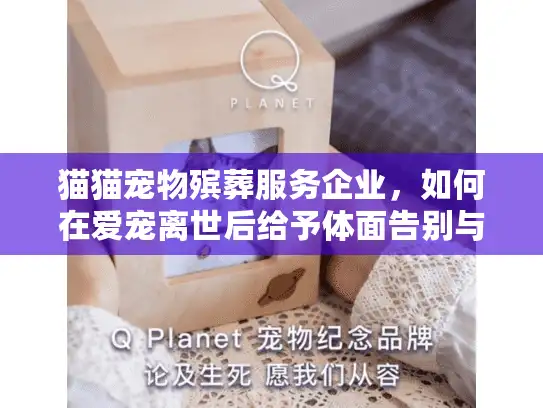 猫猫宠物殡葬服务企业，如何在爱宠离世后给予体面告别与专业关怀？