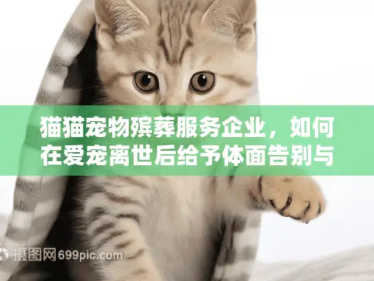 猫猫宠物殡葬服务企业，如何在爱宠离世后给予体面告别与专业关怀？