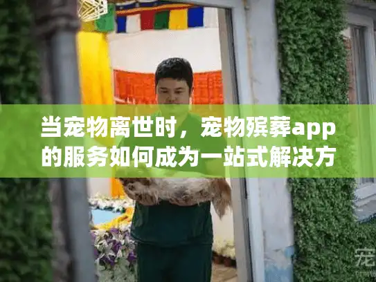 当宠物离世时，宠物殡葬app的服务如何成为一站式解决方案？