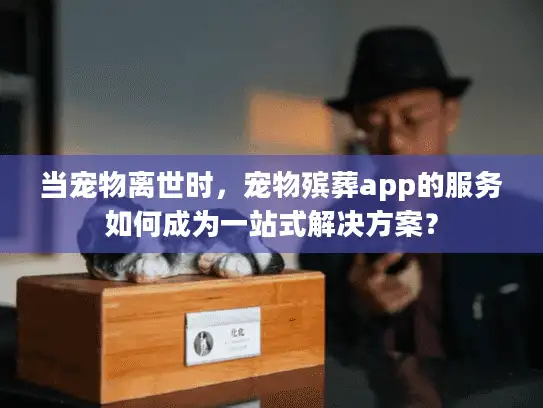 当宠物离世时，宠物殡葬app的服务如何成为一站式解决方案？