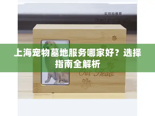 上海宠物墓地服务哪家好？选择指南全解析