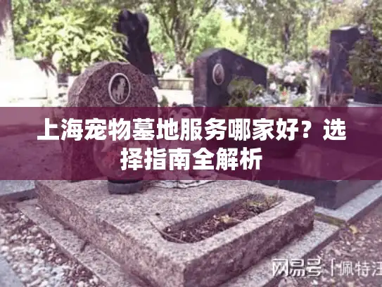上海宠物墓地服务哪家好？选择指南全解析