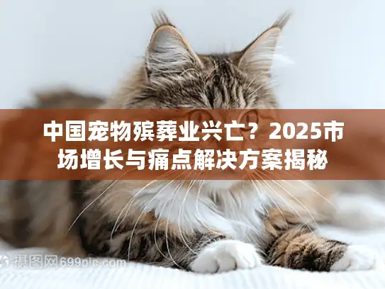中国宠物殡葬业兴亡？2025市场增长与痛点解决方案揭秘