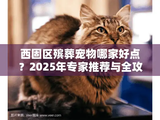 西固区殡葬宠物哪家好点？2025年专家推荐与全攻略